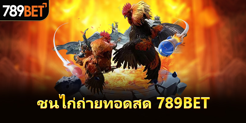 ชนไก่ถ่ายทอดสด 789bet