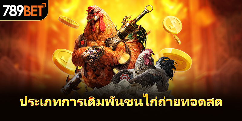 ประเภทการเดิมพันชนไก่ถ่ายทอดสด